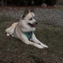 kickbsibz