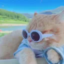live4lemon