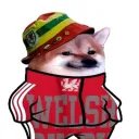 kyleglen