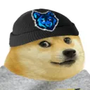 mitchdogz