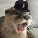 wildestewok