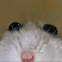 avatar Dante ಥ_ಥ