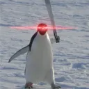 legenderpz