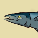 avatar DeepFriedBolognese