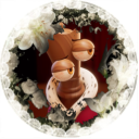 avatar tusi Ი𐑼⋆.𐙚 ̊