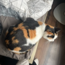 avatar nyun (˶˃ ᵕ ˂˶) .ᐟ.ᐟ