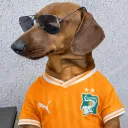 htjoao