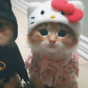 avatar ꪑꪖ᥅꠸ꪖ♡