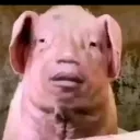 yametkudashi