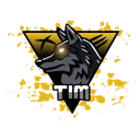 tim24_