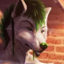 toxwolf
