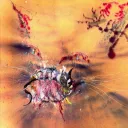 qkthr
