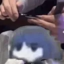 apelbruh