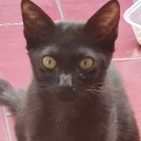 avatar The sun is thicc