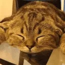 kiurr