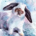 bunny_villain