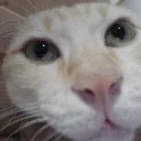 muchuraz