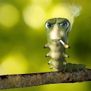 avatar 🆃🅰🅸 🅻🆄🅽🅶