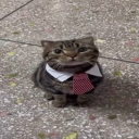 avatar trứng nướng