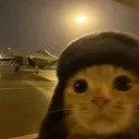 .w0o.