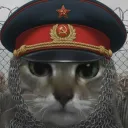 prosto_prostak