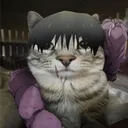 gatopro97