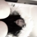 avatar ♱⃓ ˢⁱⁿ