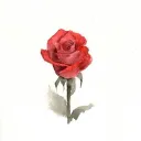 wintersroses1