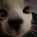 nanapoo
