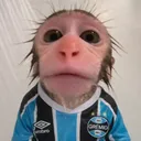 isnvinizeraah