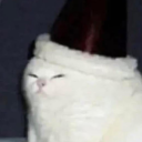 avatar the jolly master