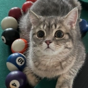 avatar the game master