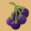sunberreiy