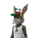 lucky_fox_06077