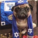 avatar ✡ребе гольдштейн✡