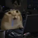 bktlemagnifique