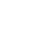 l509