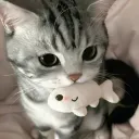 ceutrix