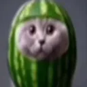 melonass