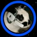 rabbitgaming