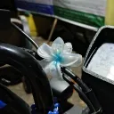 ziyaboru avatar