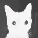 dak0oda