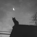 rokonshi