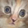 kirkaa_