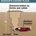 avatar ダフィーダック