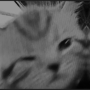 avatar luki