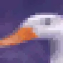 immortaltortilla