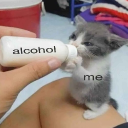 avatar ✪miksonek19