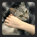 avatar May