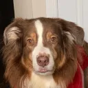jimbonp